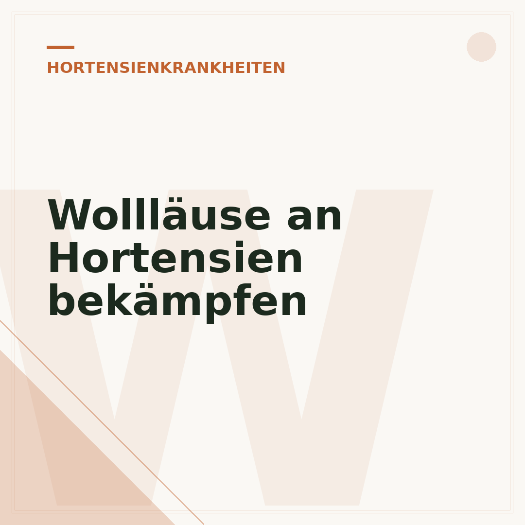 Wollläuse an Hortensien bekämpfen