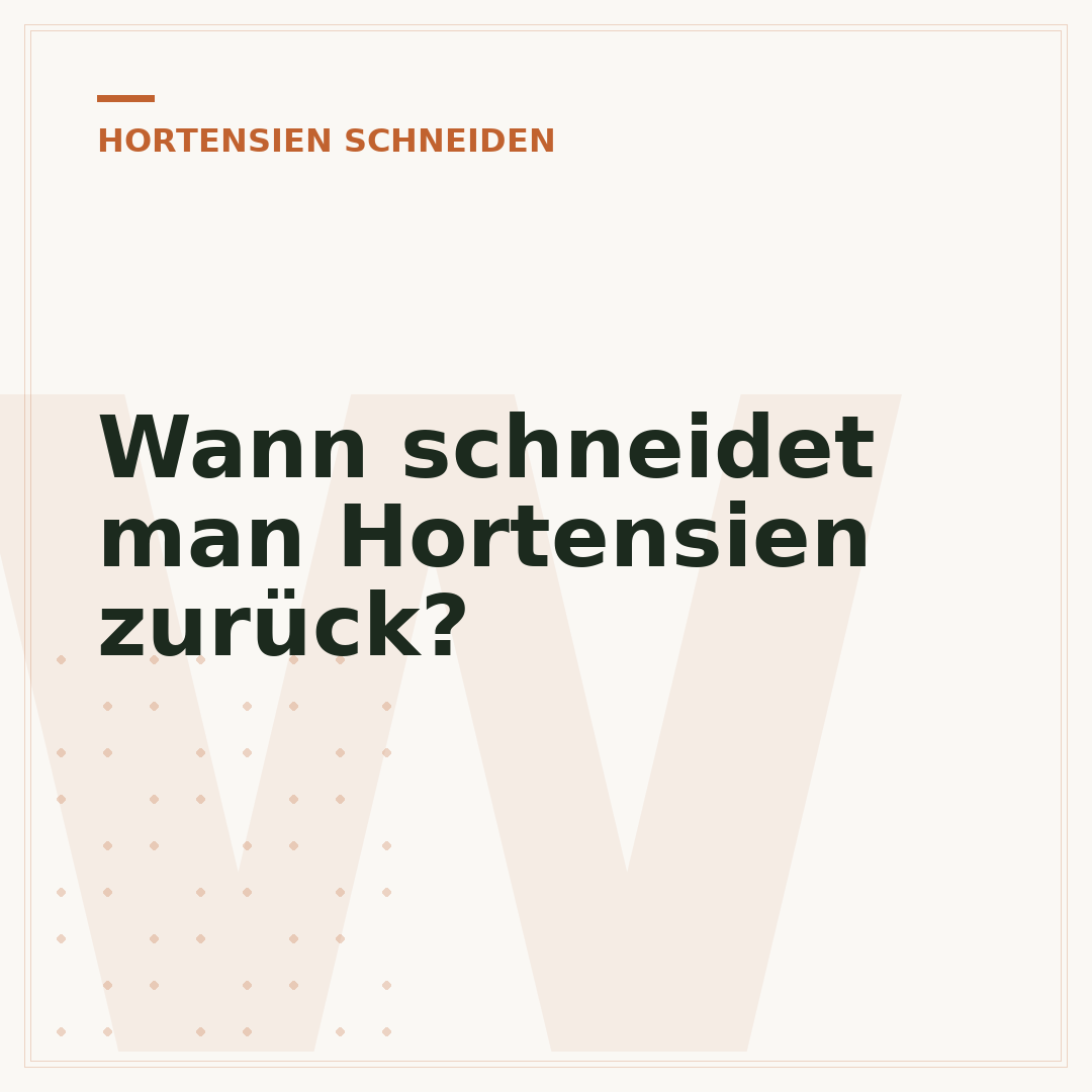 Wann schneidet man Hortensien zurück?