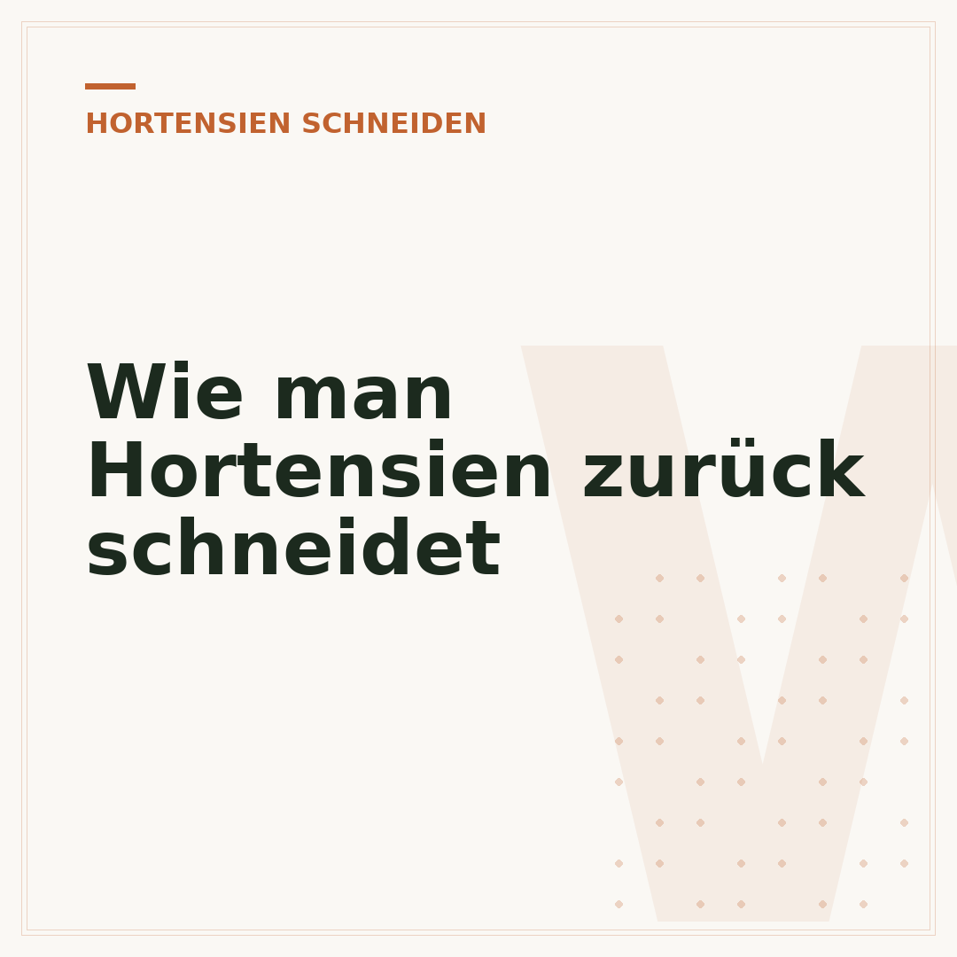 Wie man Hortensien zurück schneidet