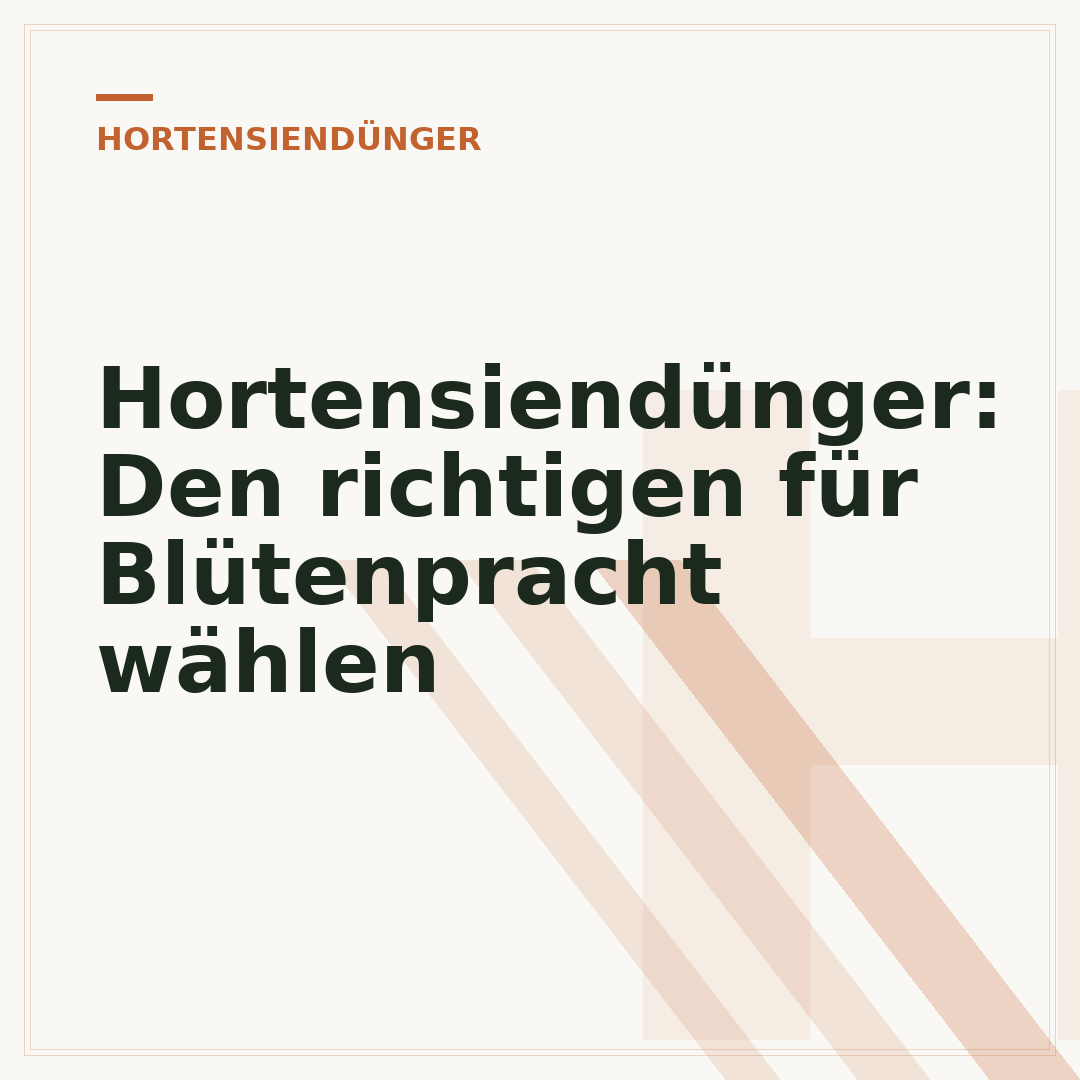 Hortensiendünger: Den richtigen für Blütenpracht wählen