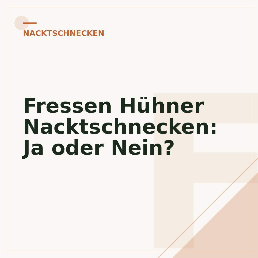 Fressen Hühner Nacktschnecken: Ja oder Nein?