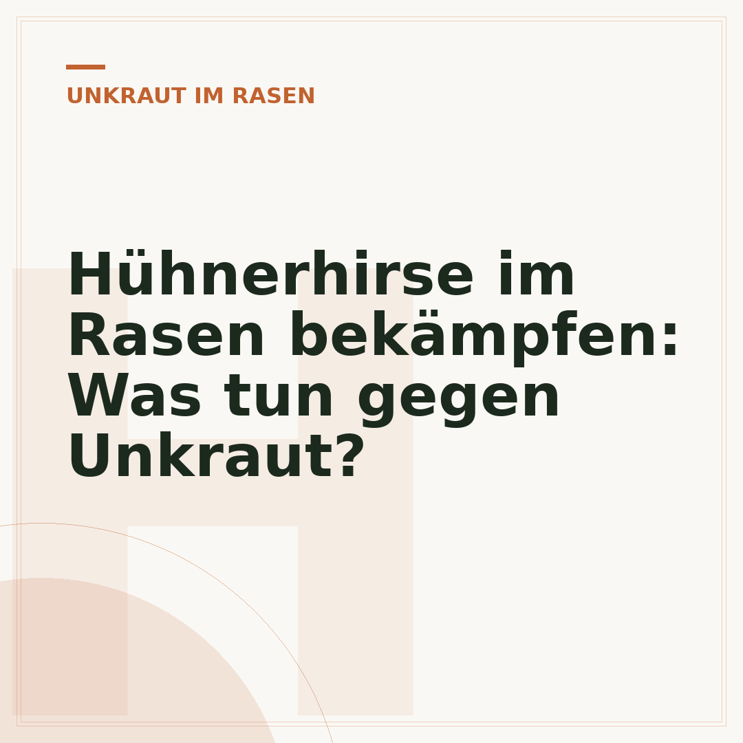 Hühnerhirse im Rasen bekämpfen: Was tun gegen Unkraut?