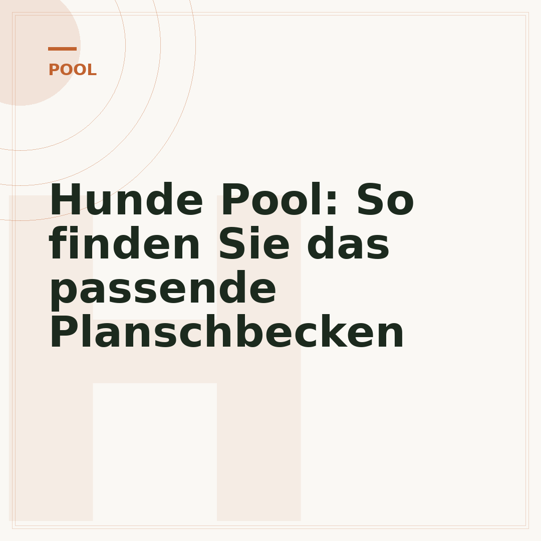 Hunde Pool: So finden Sie das passende Planschbecken
