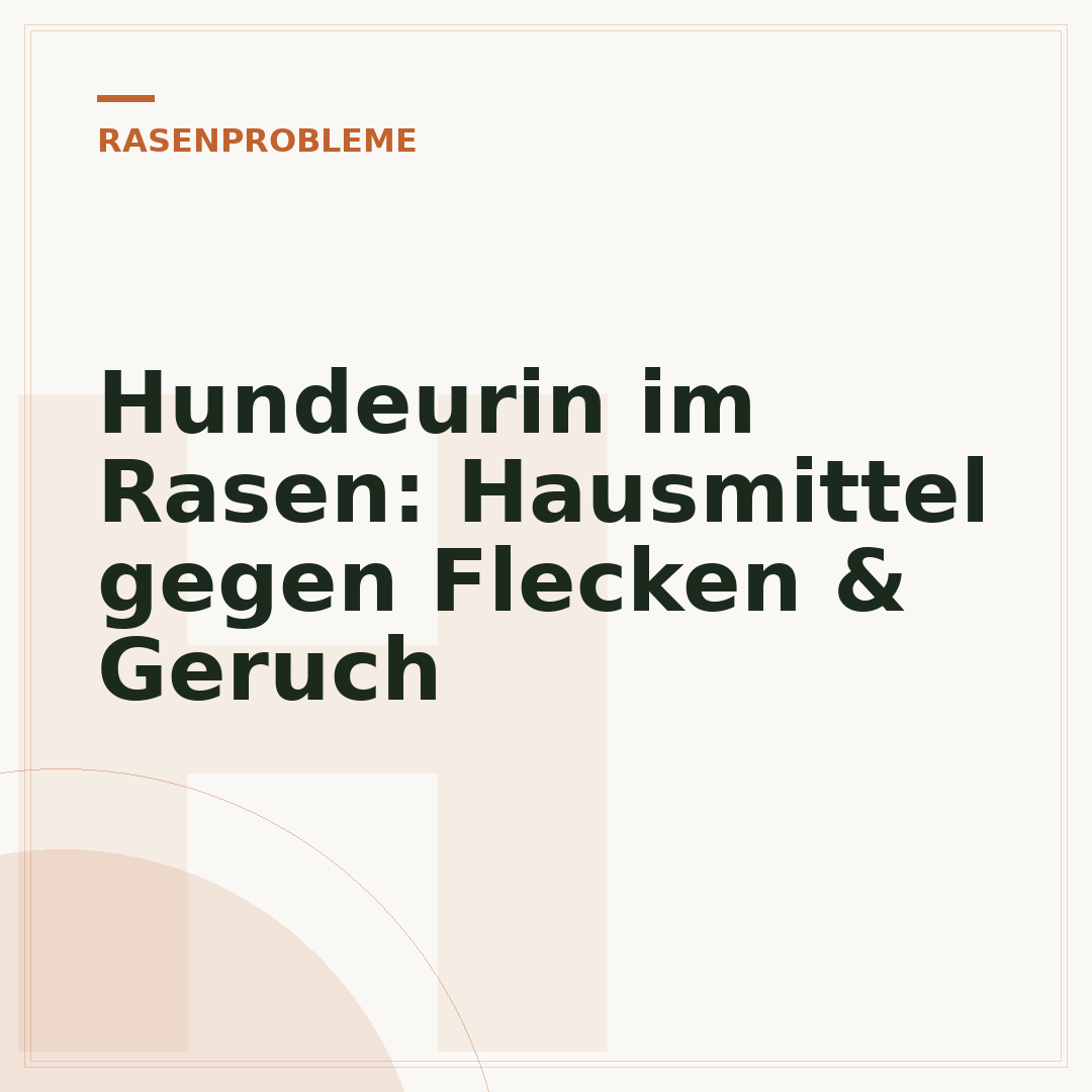 Hundeurin im Rasen: Hausmittel gegen Flecken & Geruch