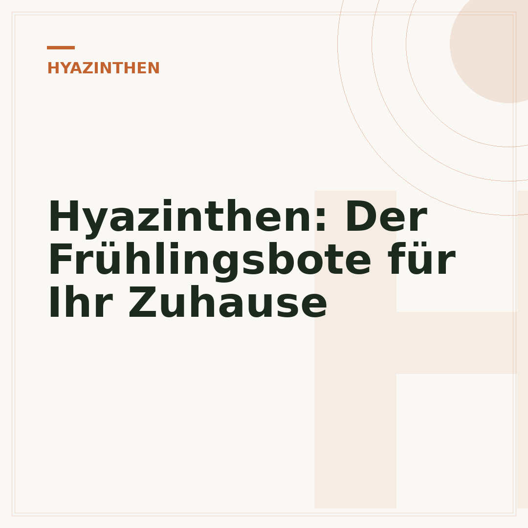 Hyazinthen: Der Frühlingsbote für Ihr Zuhause