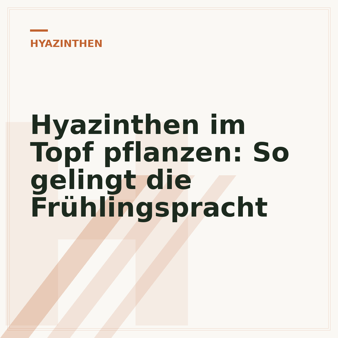 Hyazinthen im Topf pflanzen: So gelingt die Frühlingspracht