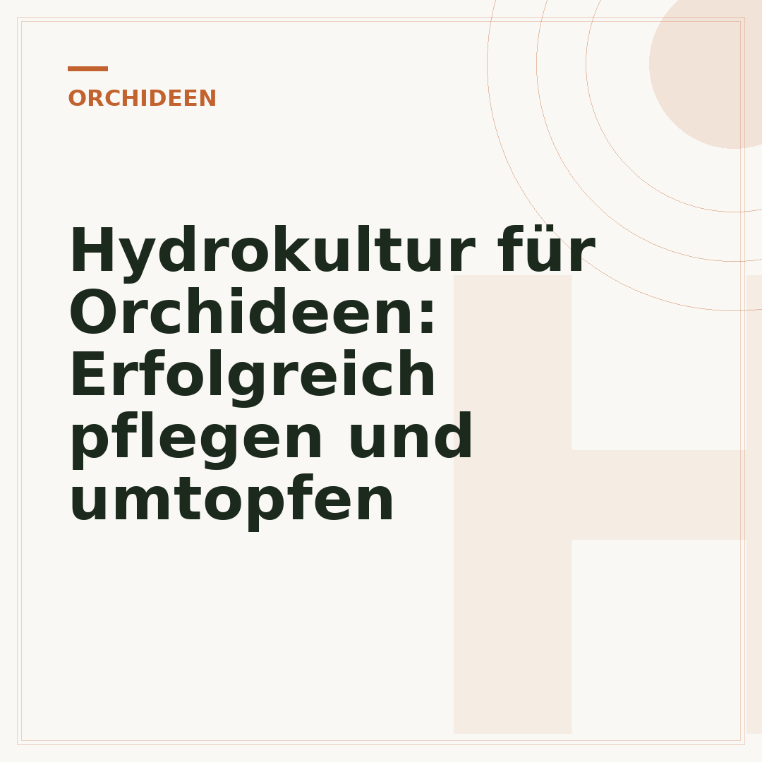 Hydrokultur für Orchideen: Erfolgreich pflegen und umtopfen