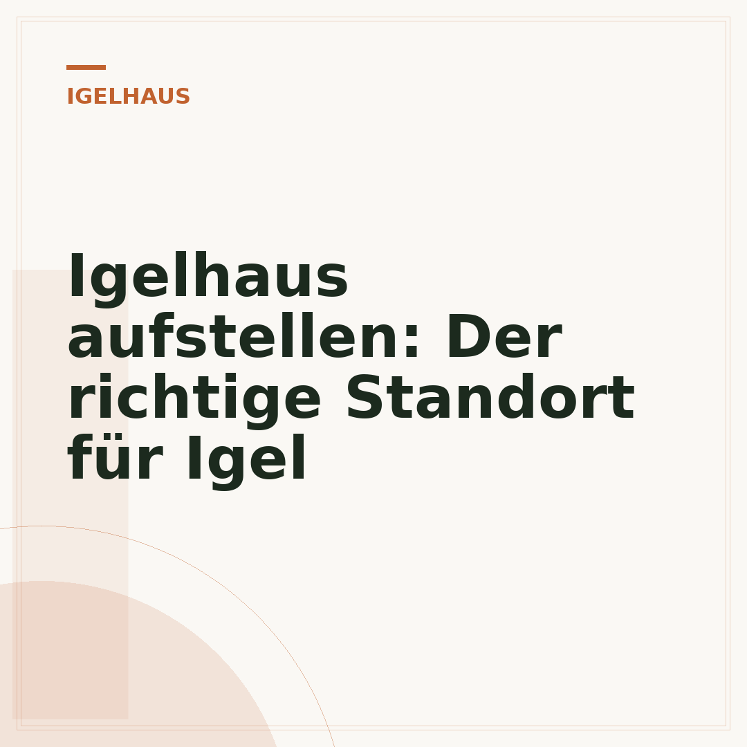 Igelhaus aufstellen: Der richtige Standort für Igel