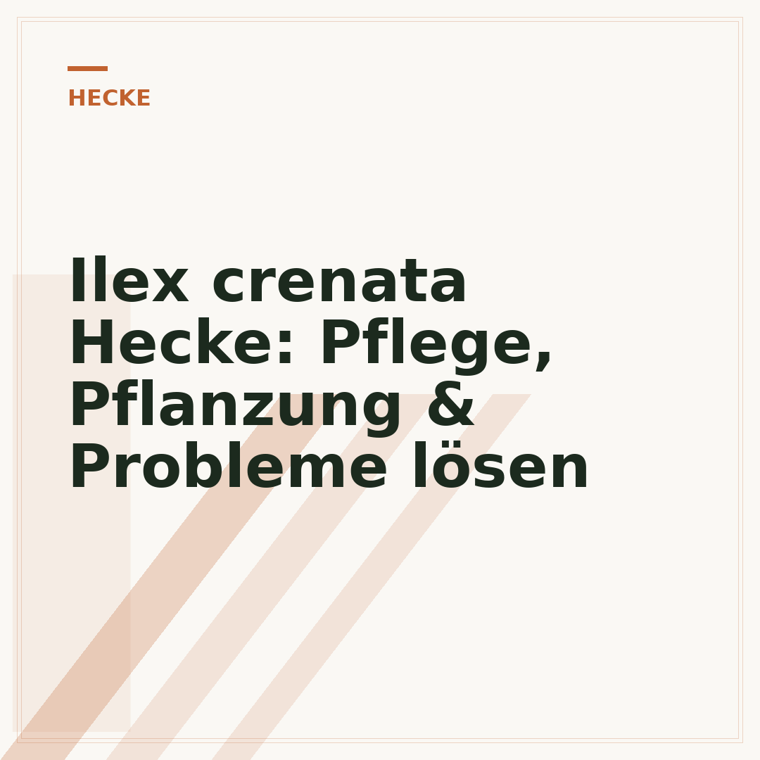 Ilex crenata Hecke: Pflege, Pflanzung & Probleme lösen