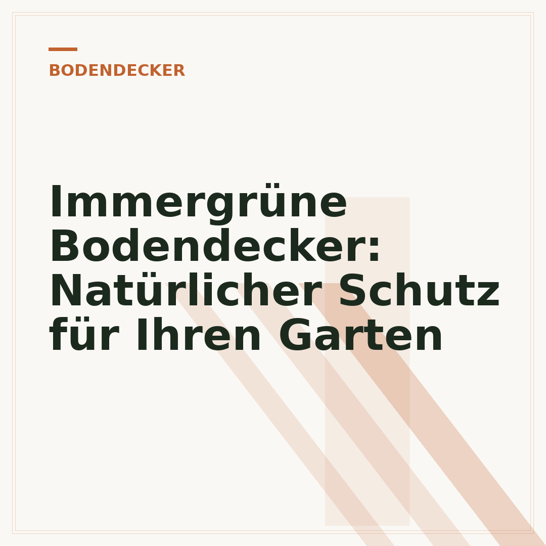 Immergrüne Bodendecker: Natürlicher Schutz für Ihren Garten