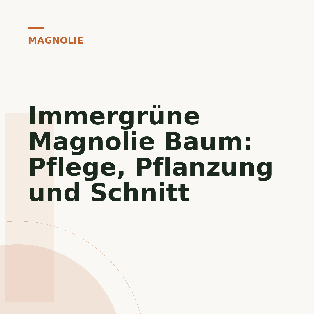Immergrüne Magnolie Baum: Pflege, Pflanzung und Schnitt