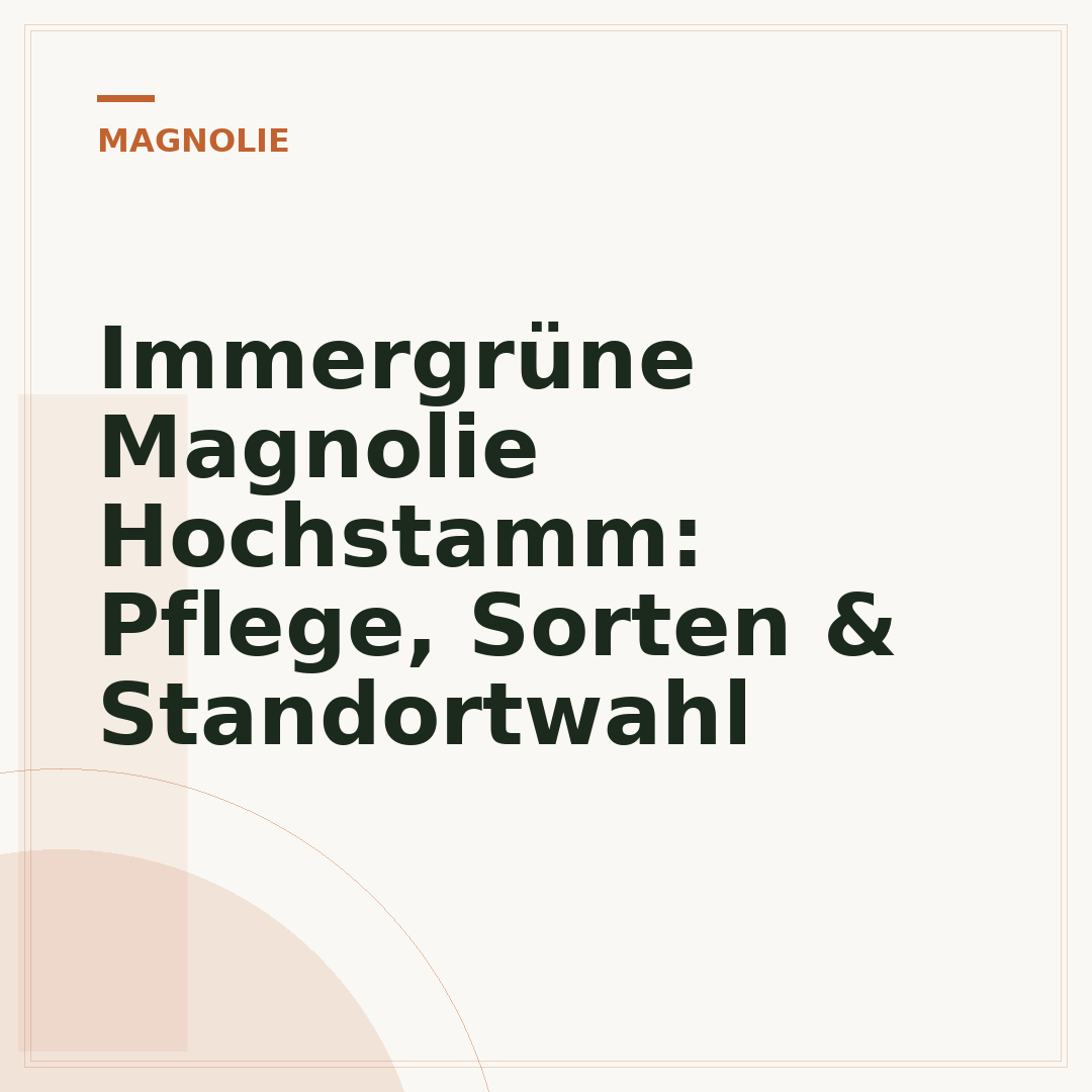 Immergrüne Magnolie Hochstamm: Pflege, Sorten & Standortwahl