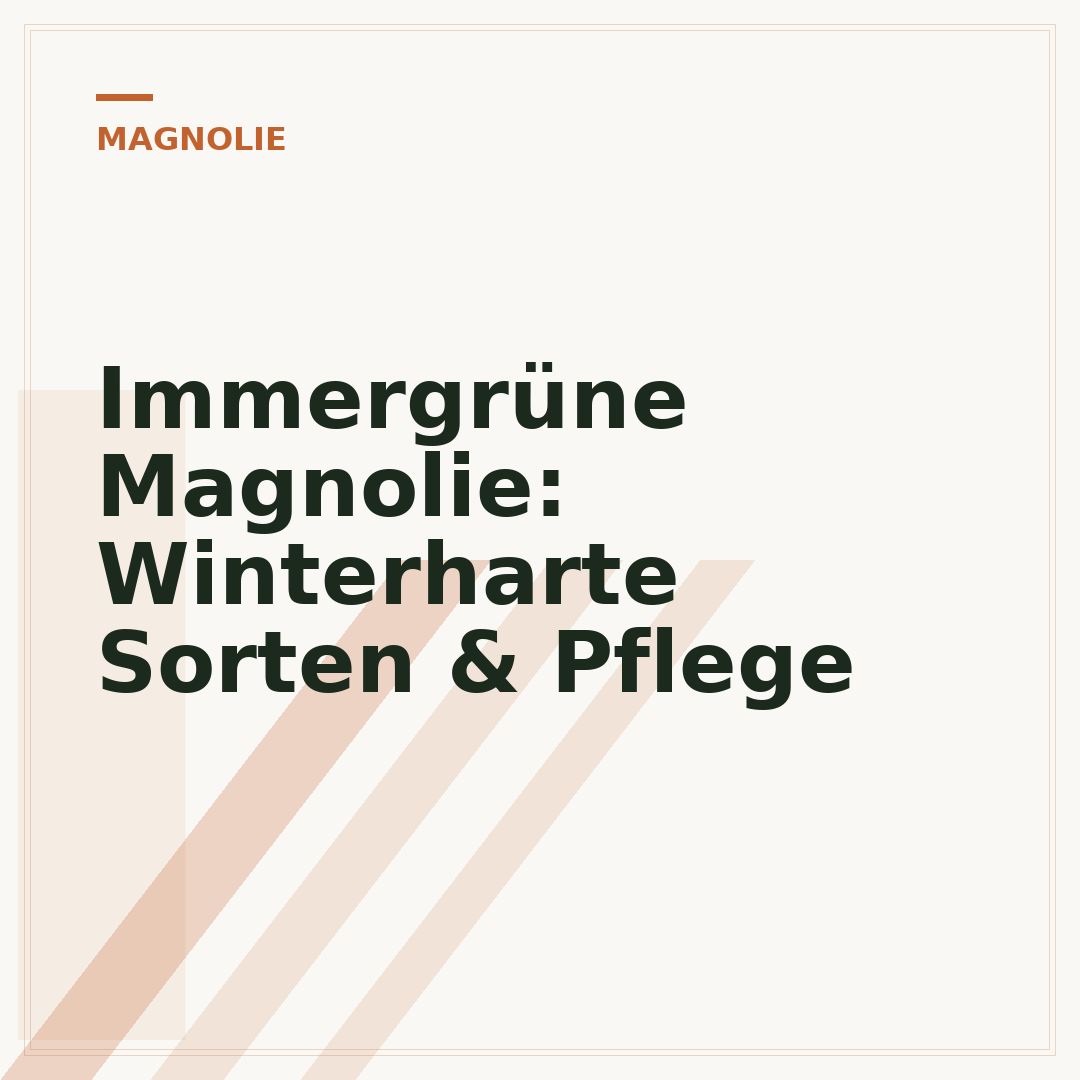 Immergrüne Magnolie: Winterharte Sorten & Pflege
