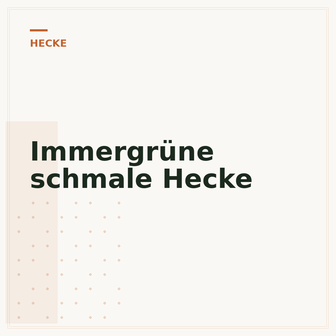Immergrüne schmale Hecke