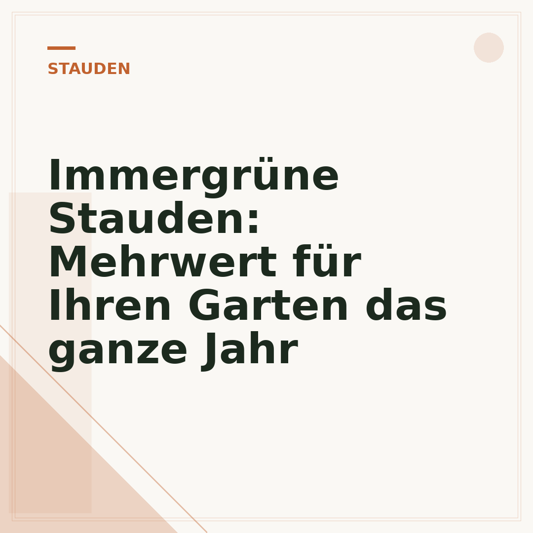 Immergrüne Stauden: Mehrwert für Ihren Garten das ganze Jahr