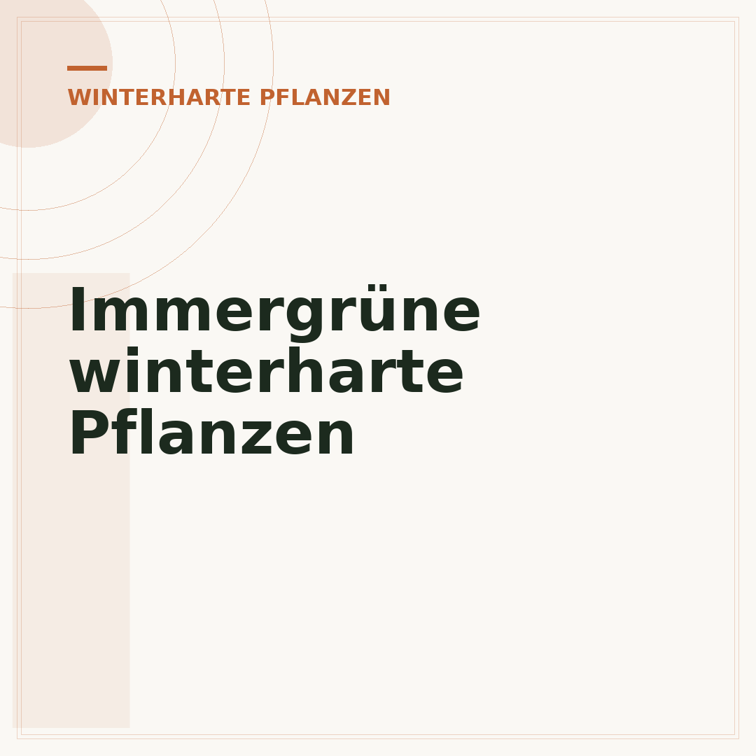 Immergrüne winterharte Pflanzen