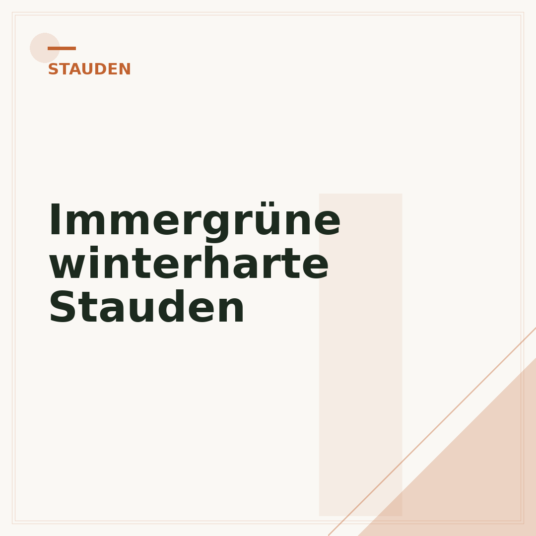 Immergrüne winterharte Stauden