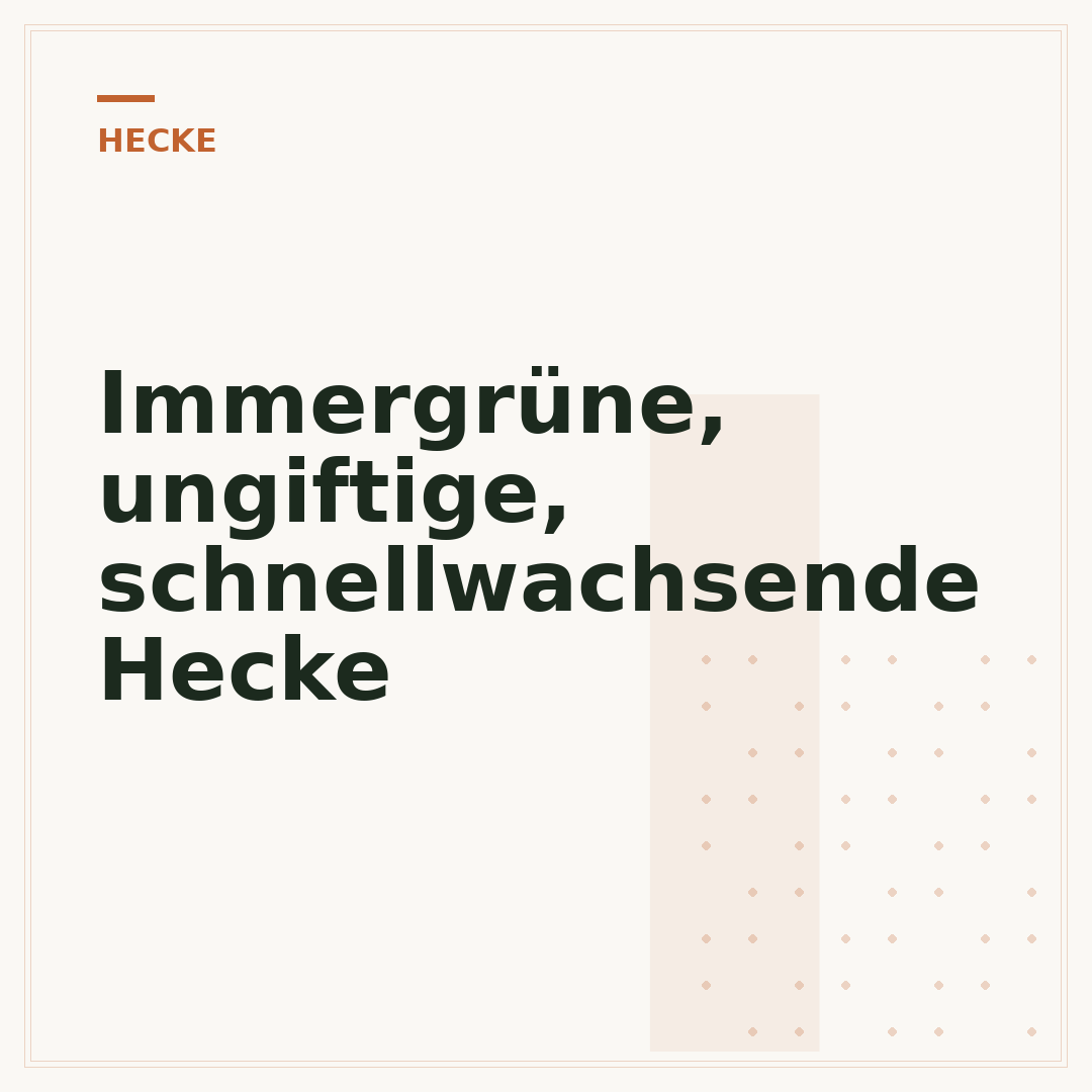 Immergrüne, ungiftige, schnellwachsende Hecke