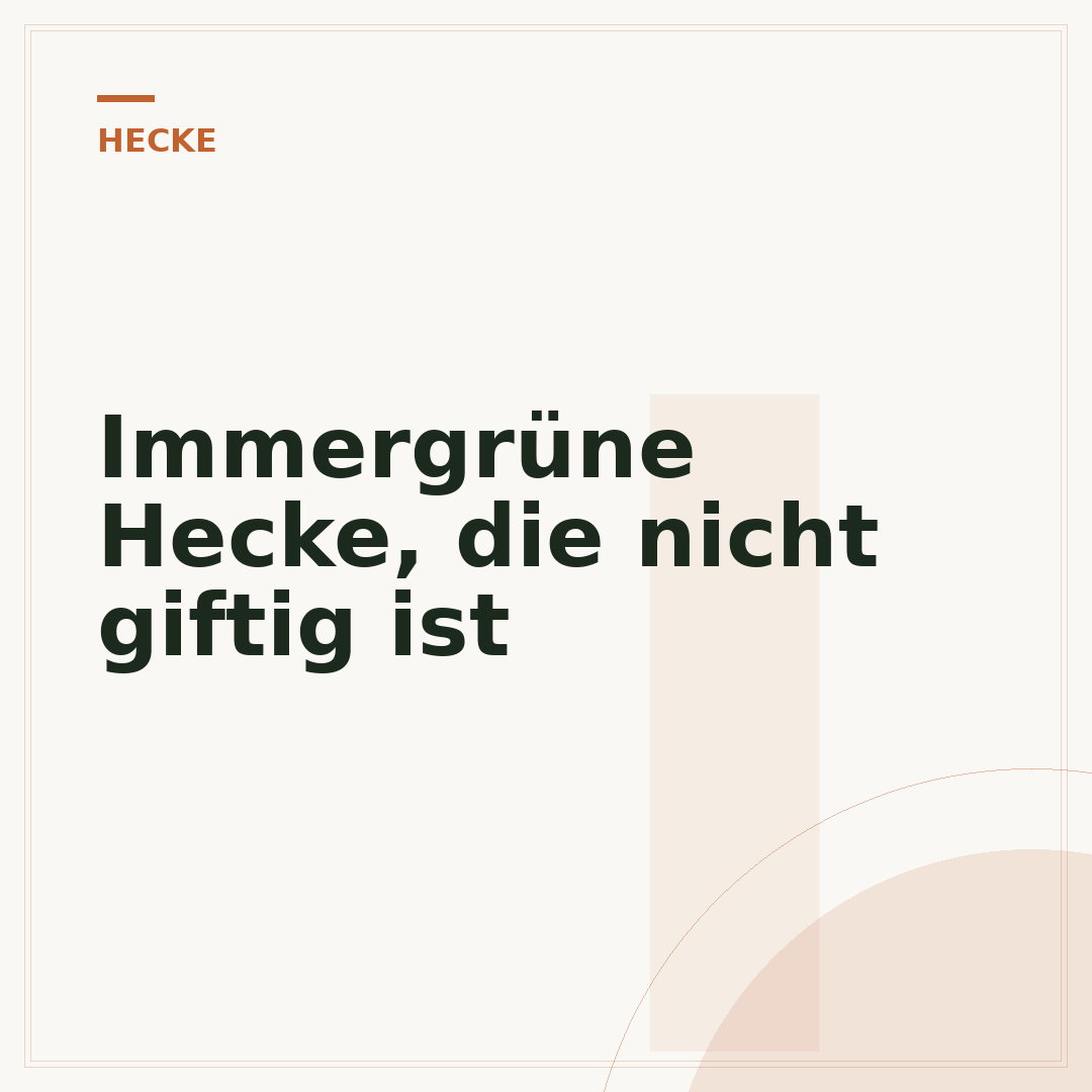 Immergrüne Hecke, die nicht giftig ist