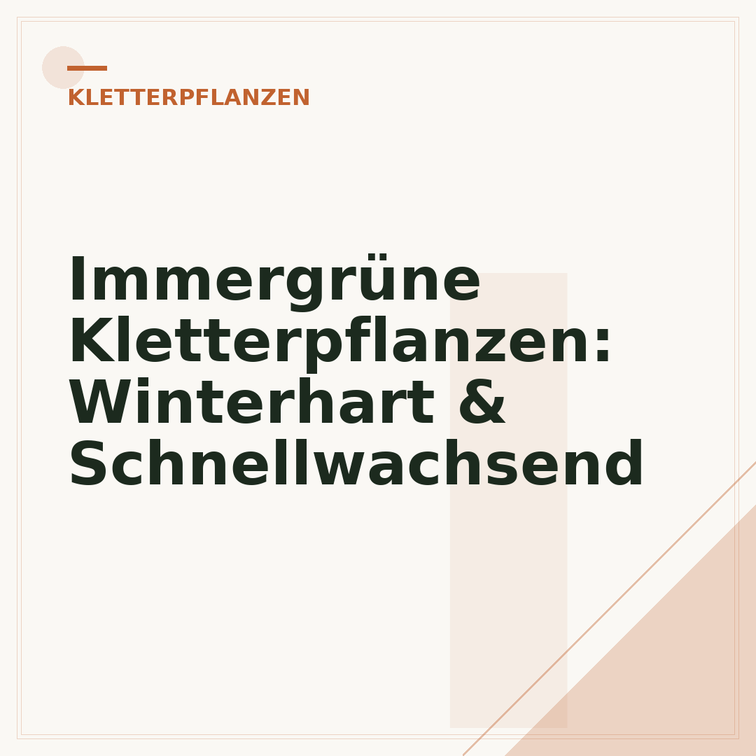 Immergrüne Kletterpflanzen: Winterhart & Schnellwachsend