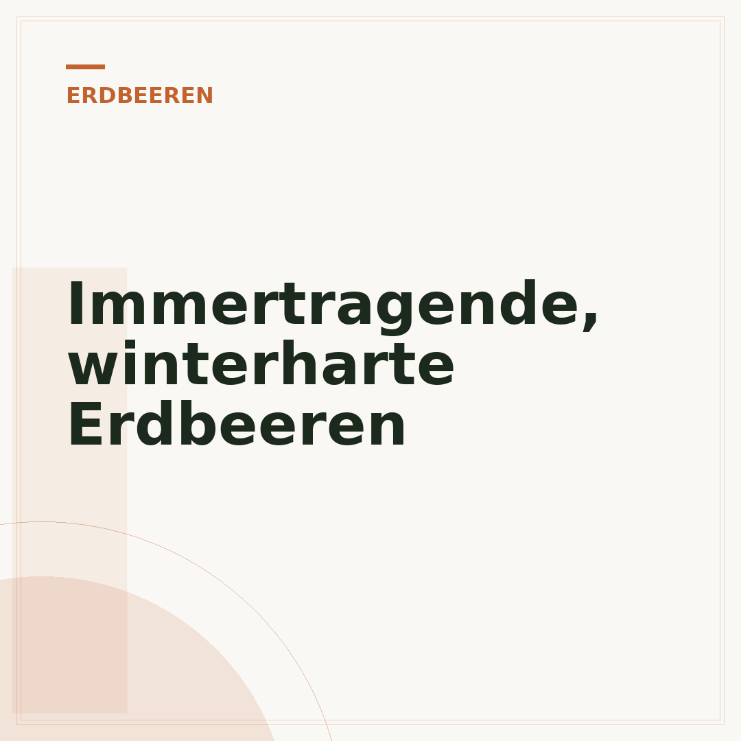 Immertragende, winterharte Erdbeeren