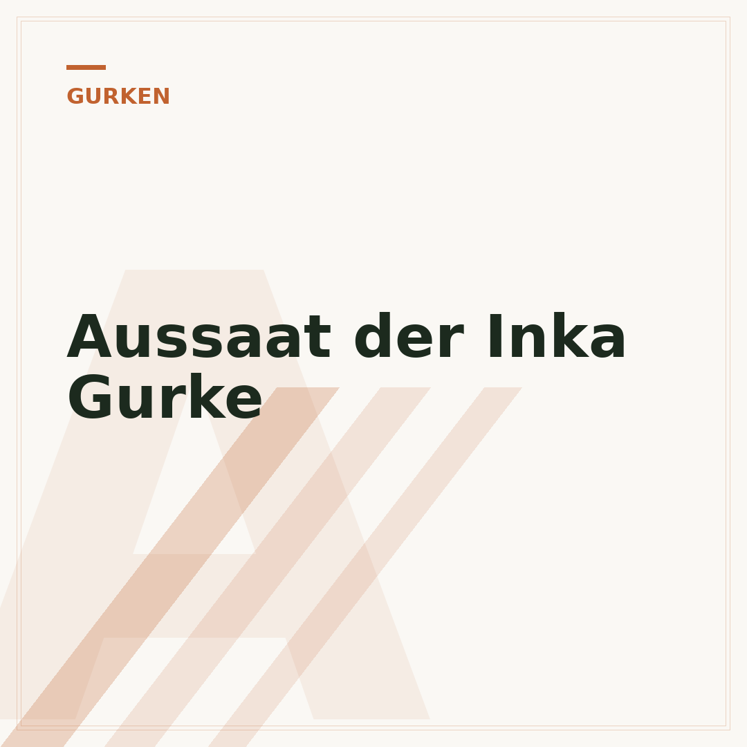Aussaat der Inka Gurke