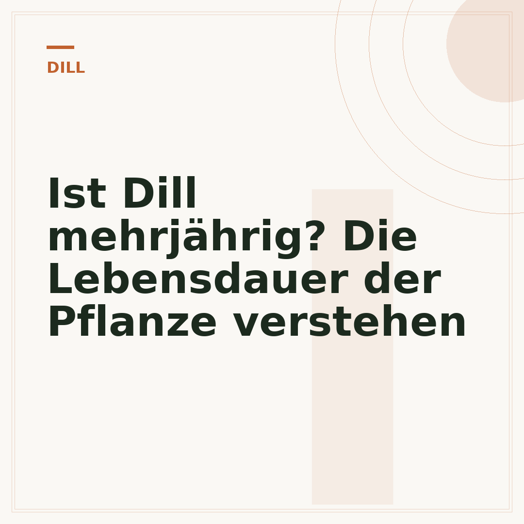 Ist Dill mehrjährig? Die Lebensdauer der Pflanze verstehen