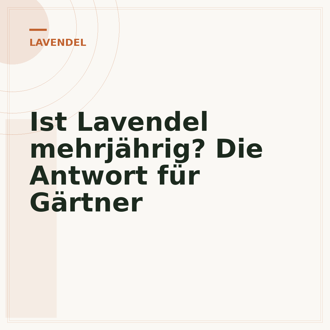 Ist Lavendel mehrjährig? Die Antwort für Gärtner