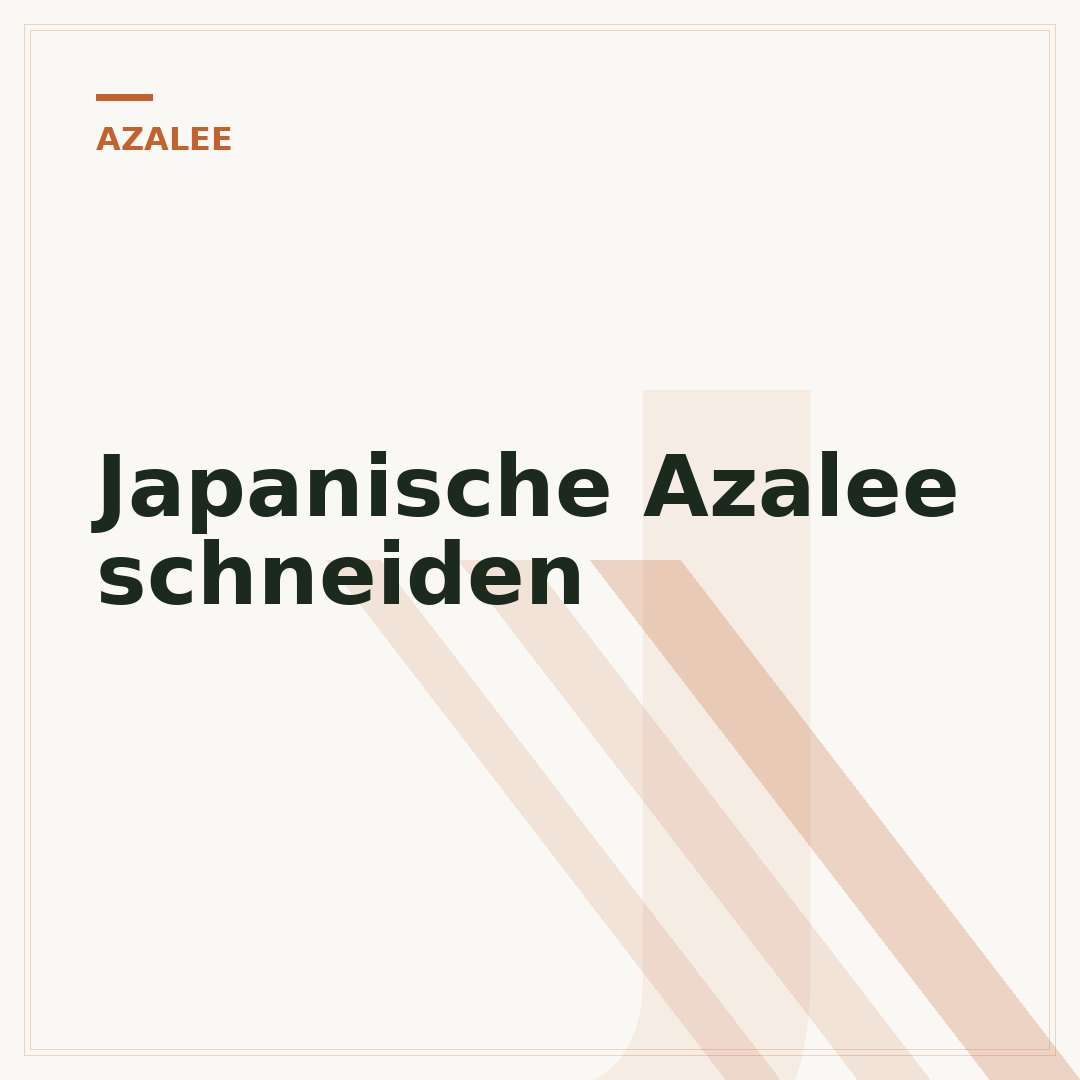 Japanische Azalee schneiden