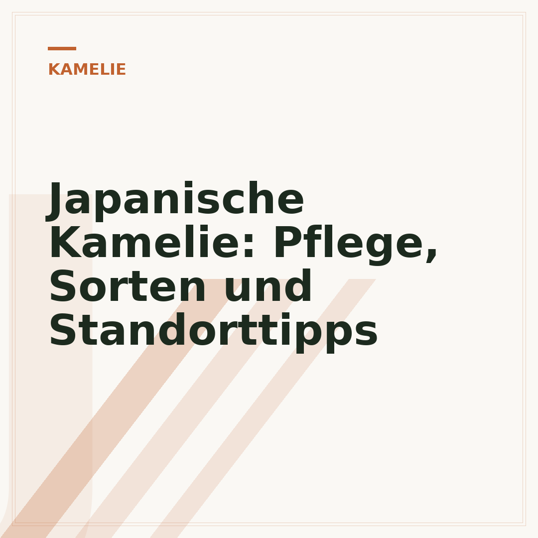 Japanische Kamelie: Pflege, Sorten und Standorttipps