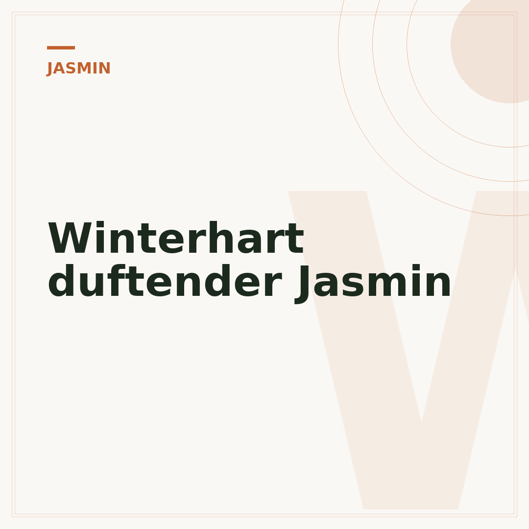 Winterhart duftender Jasmin