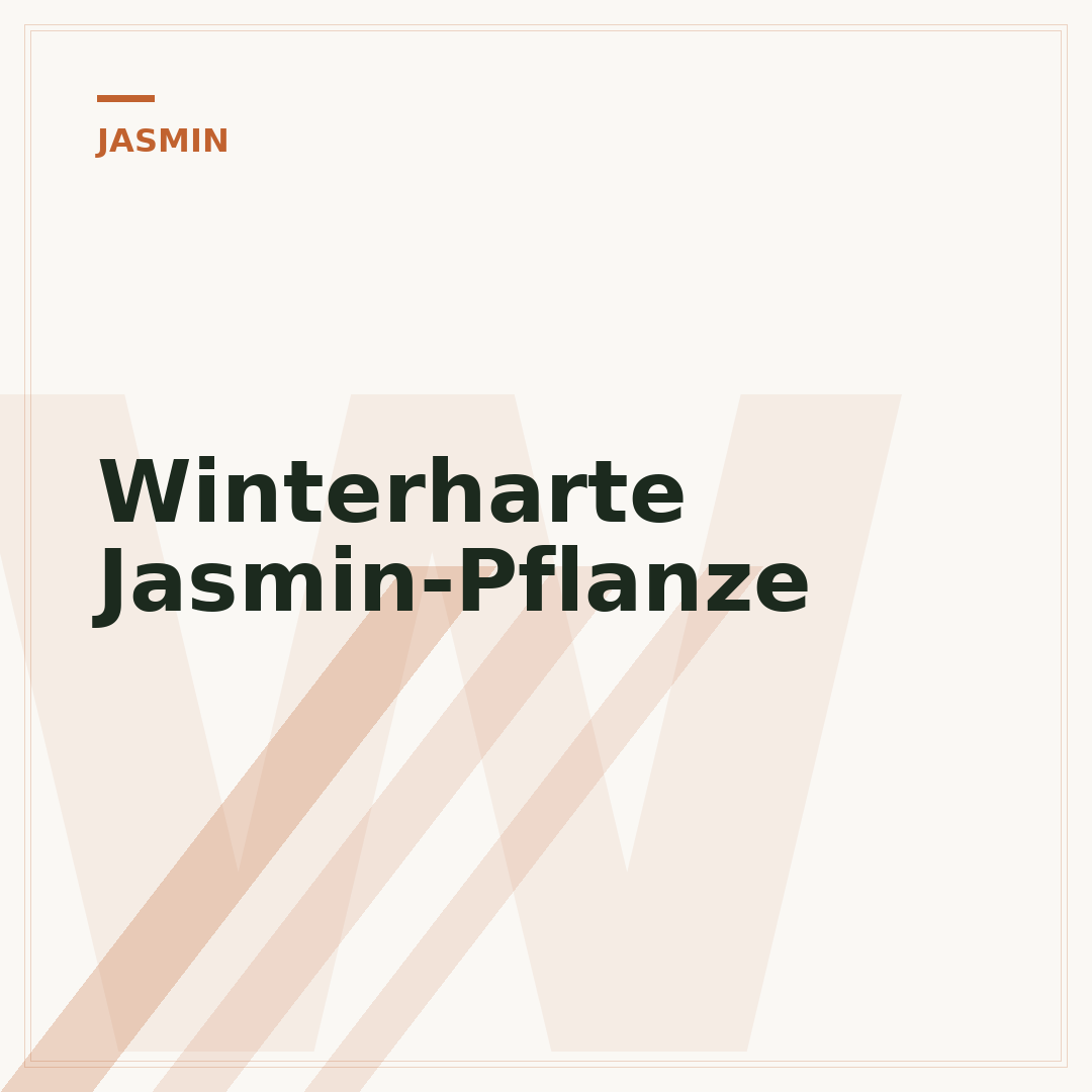Winterharte Jasmin-Pflanze