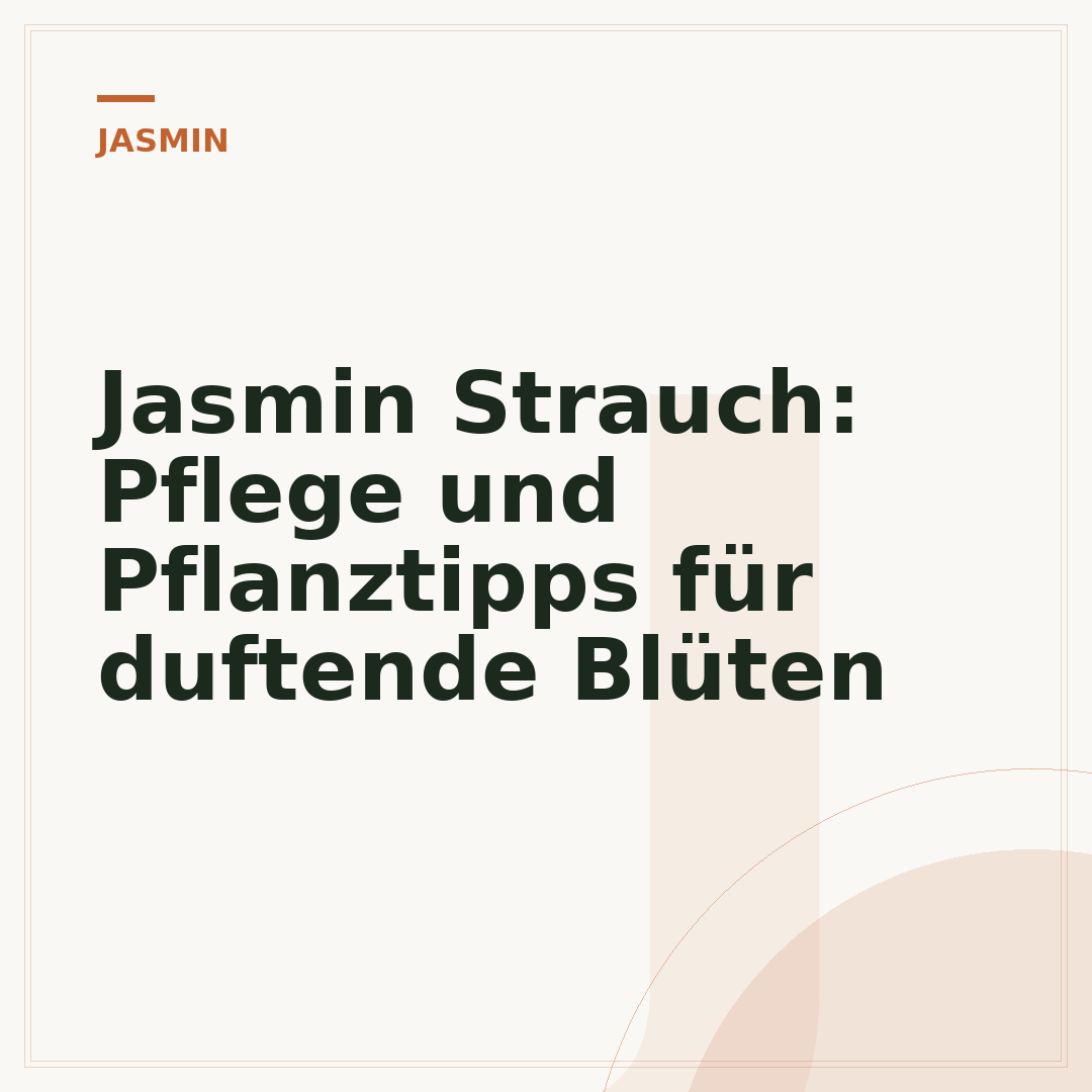 Jasmin Strauch: Pflege und Pflanztipps für duftende Blüten