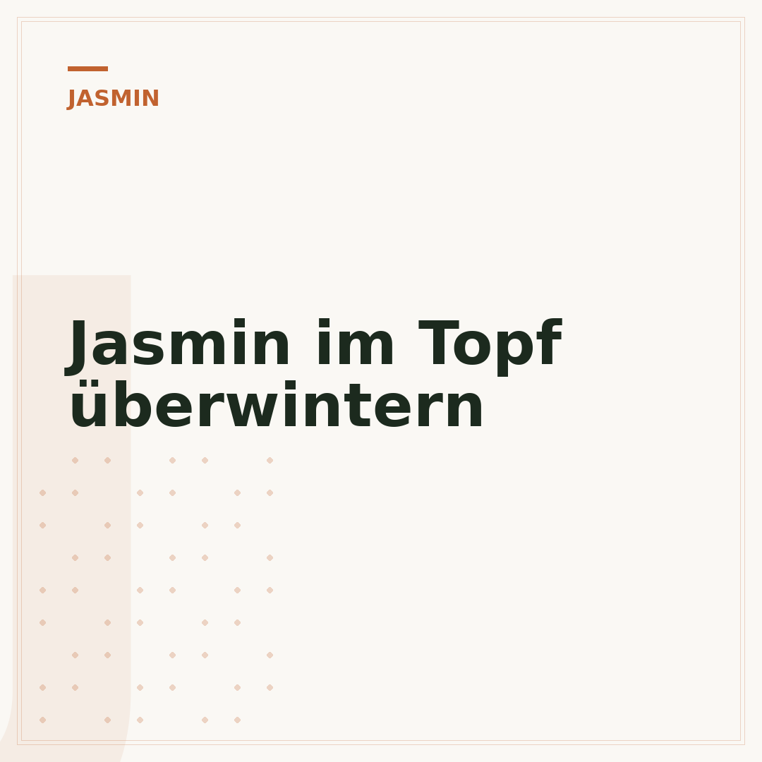 Jasmin im Topf überwintern
