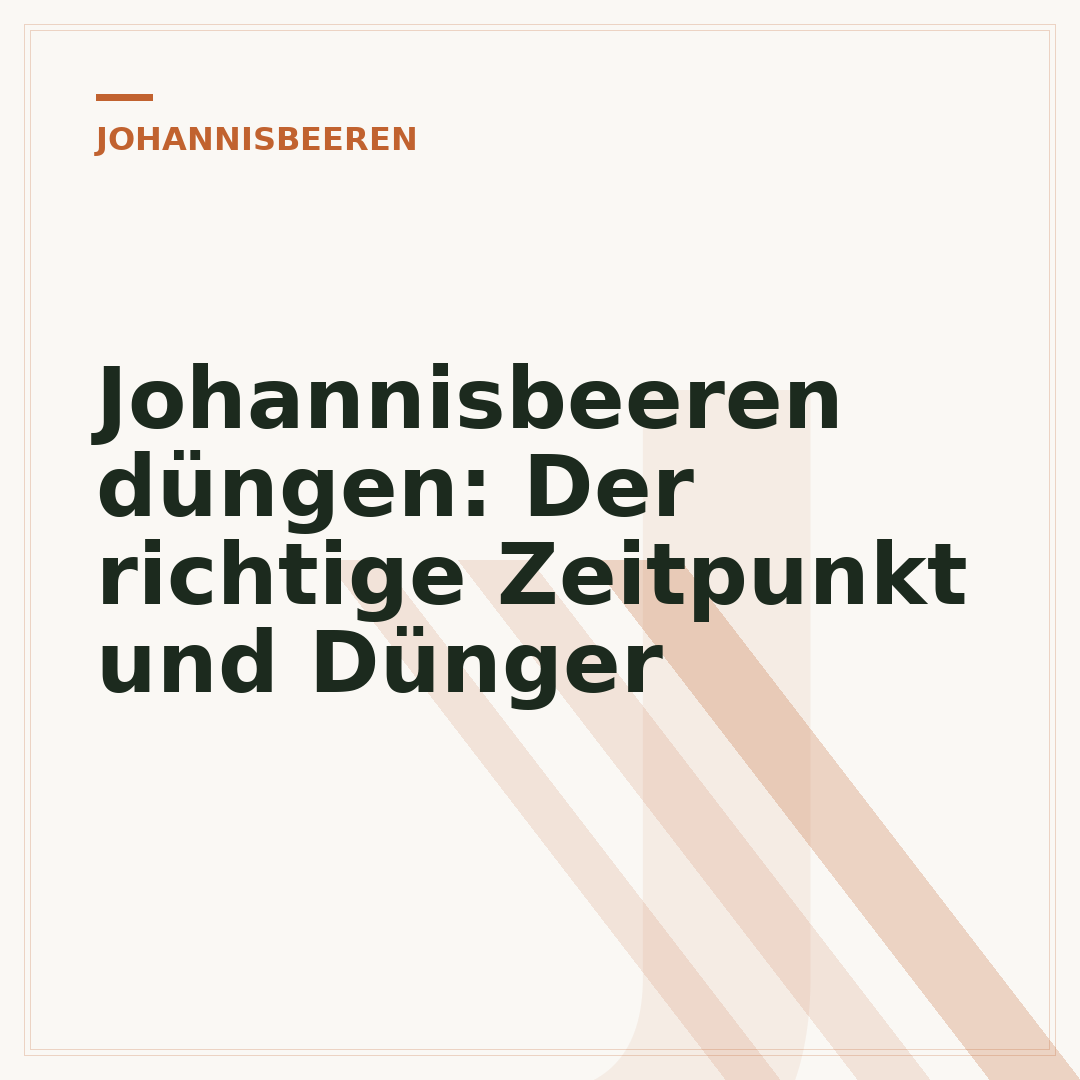 Johannisbeeren düngen: Der richtige Zeitpunkt und Dünger