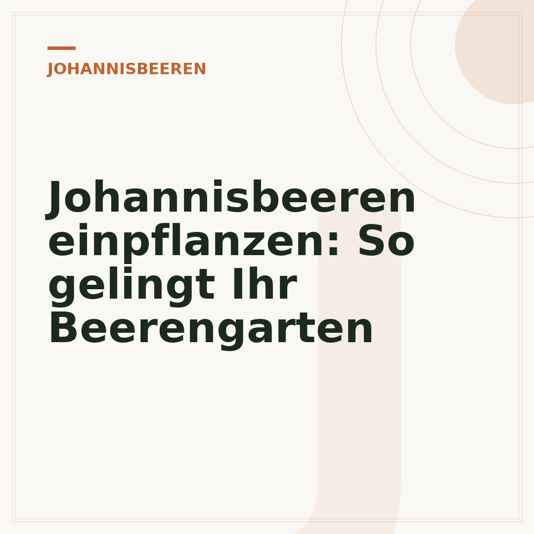 Johannisbeeren einpflanzen: So gelingt Ihr Beerengarten