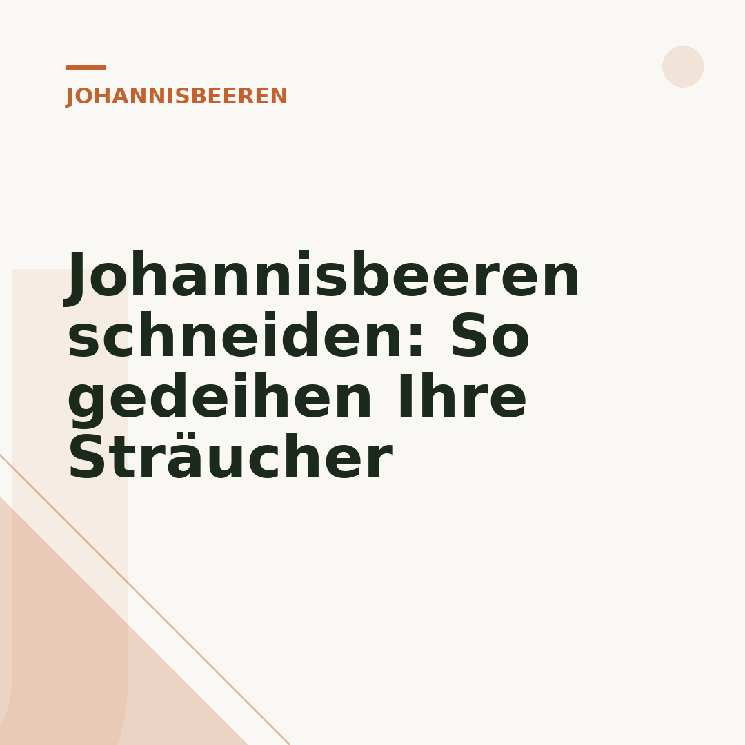 Johannisbeeren schneiden: So gedeihen Ihre Sträucher