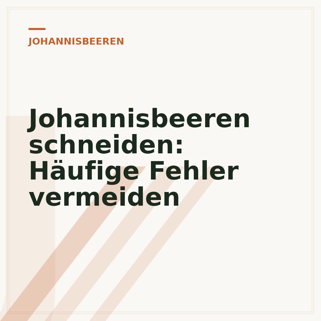 Johannisbeeren schneiden: Häufige Fehler vermeiden