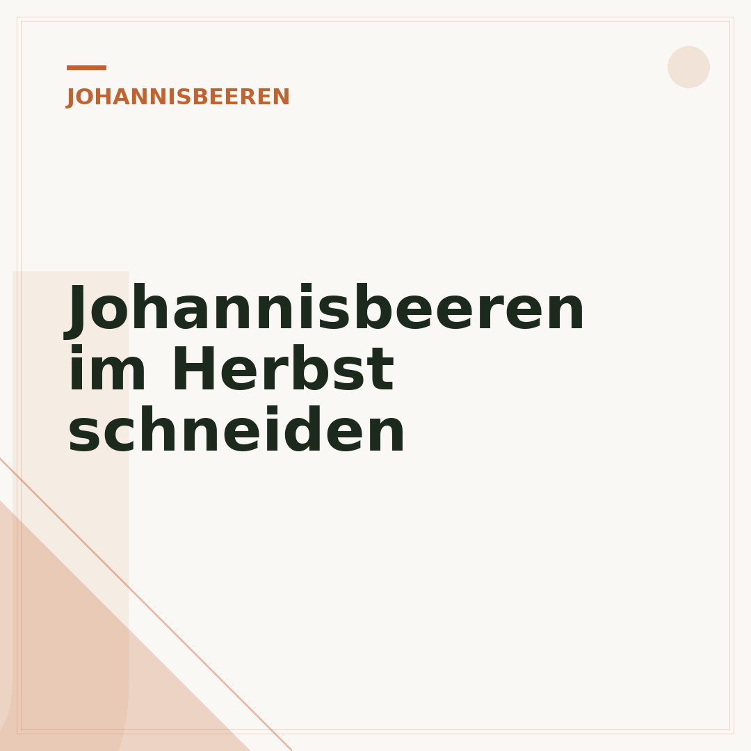 Johannisbeeren im Herbst schneiden