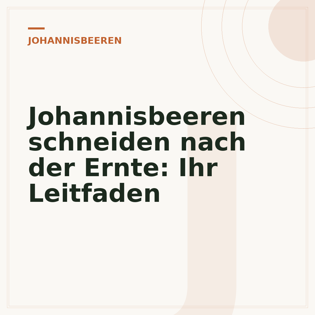 Johannisbeeren schneiden nach der Ernte: Ihr Leitfaden