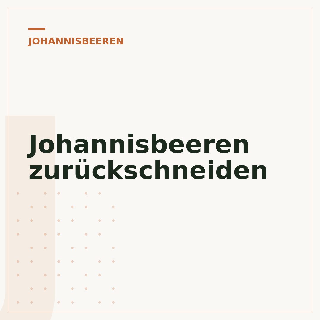 Johannisbeeren zurückschneiden