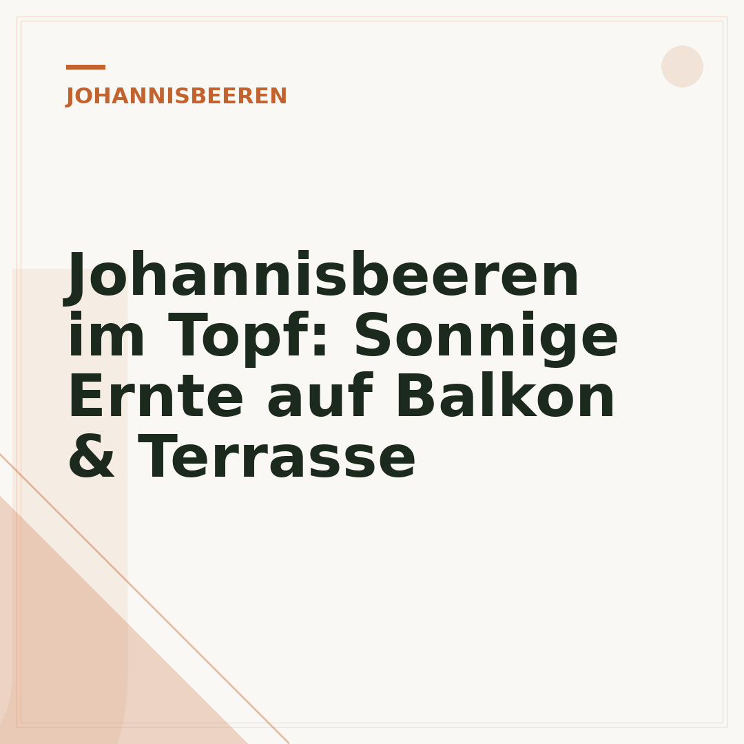 Johannisbeeren im Topf: Sonnige Ernte auf Balkon & Terrasse