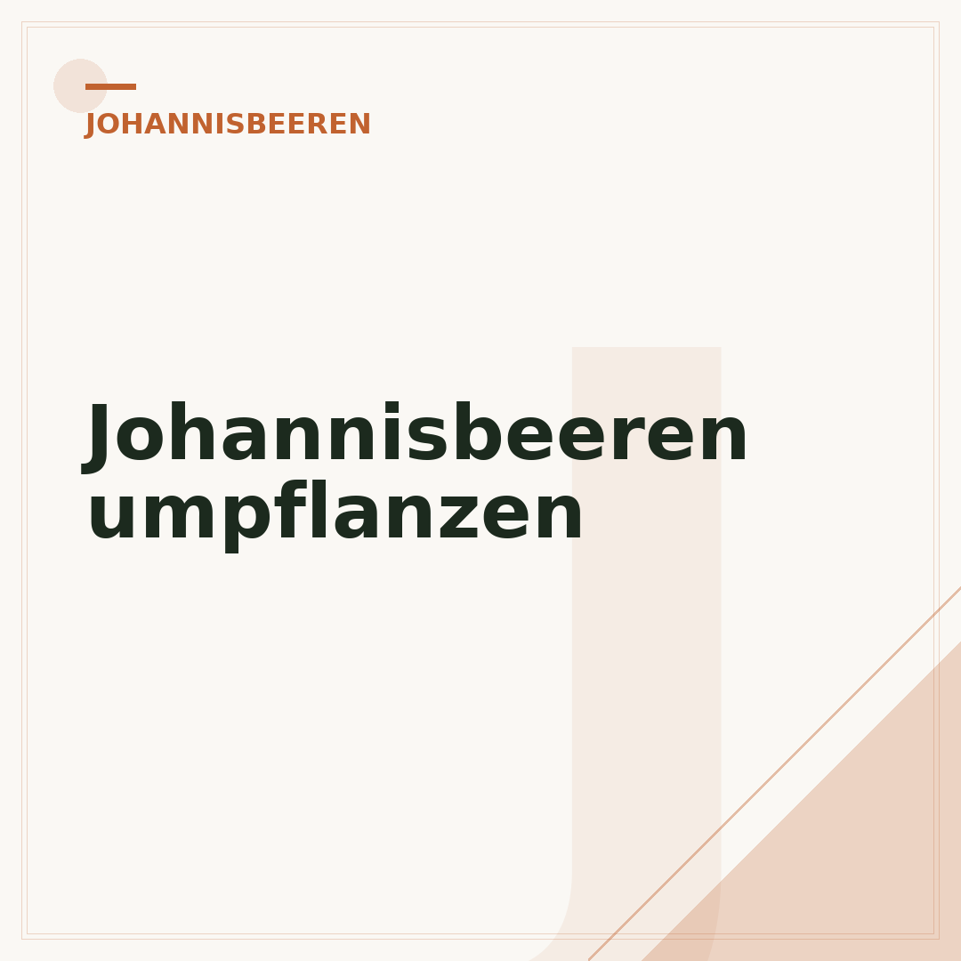 Johannisbeeren umpflanzen