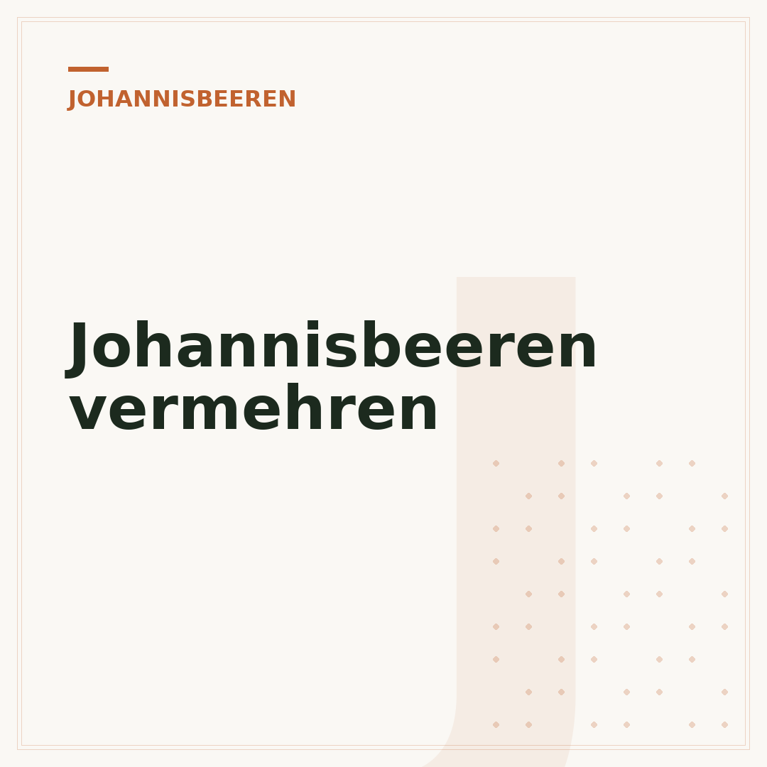 Johannisbeeren vermehren