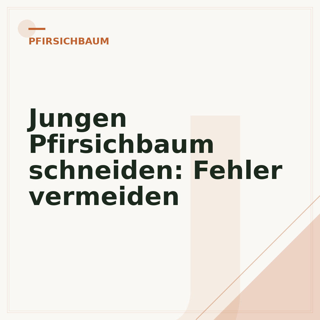 Jungen Pfirsichbaum schneiden: Fehler vermeiden