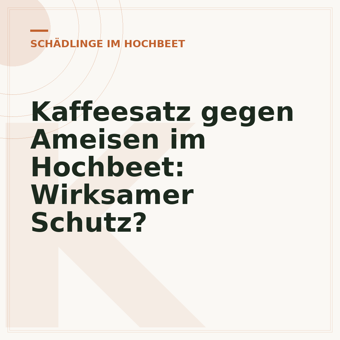 Kaffeesatz gegen Ameisen im Hochbeet: Wirksamer Schutz?