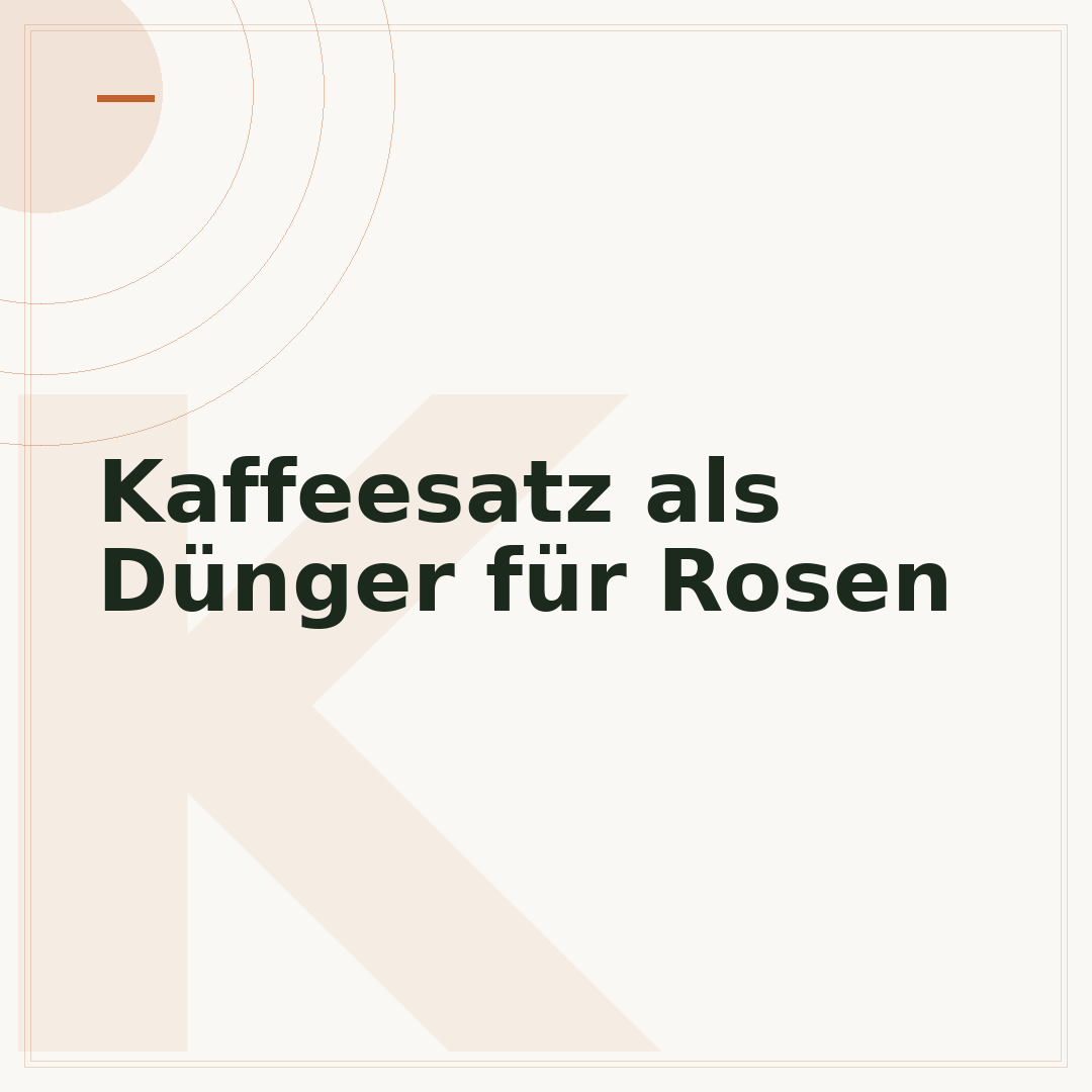 Kaffeesatz als Dünger für Rosen