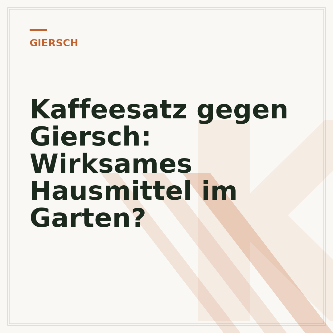 Kaffeesatz gegen Giersch: Wirksames Hausmittel im Garten?