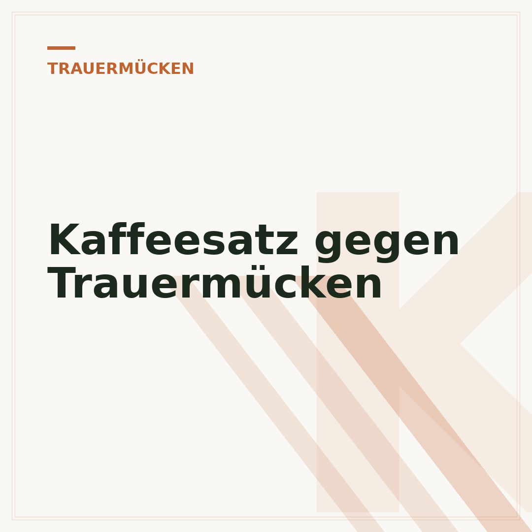 Kaffeesatz gegen Trauermücken