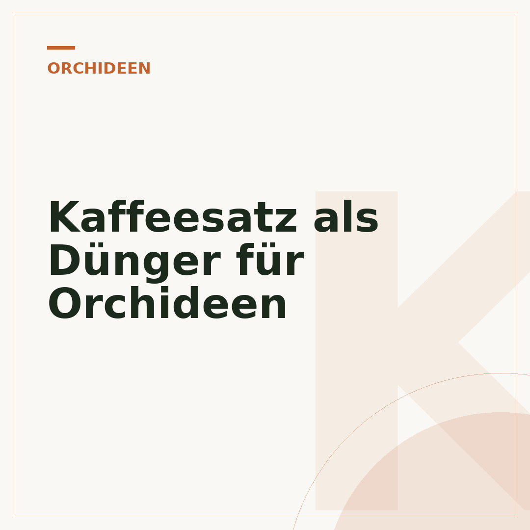 Kaffeesatz als Dünger für Orchideen